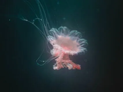 Deep Underwater - Relaxing Sounds Of Natural Brown Noise