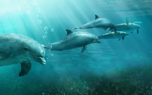 Deep Underwater - Soothing Ambient Sounds