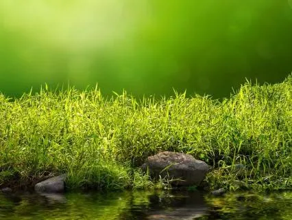 Deep Vibrational Reset