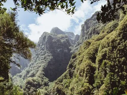 Deep Wave Flute Healing