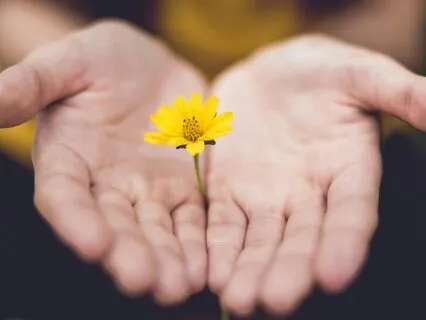 Deep Well-Being Meditation