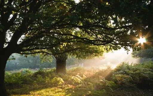 Deep Within (Guitar)