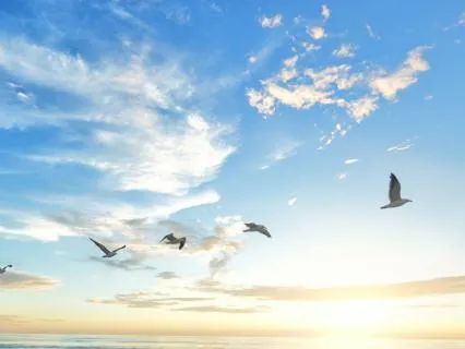 Deep Within (So Hum Mantra)