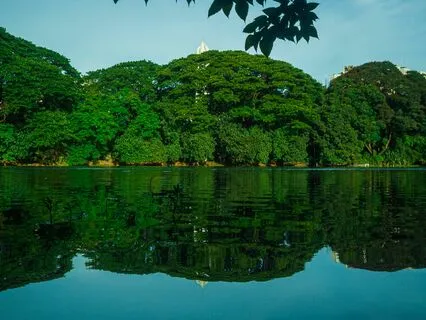 Deep Yoga Nidra For Healing, Relaxation & Manifestation