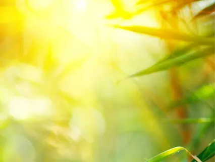 Deep Zen Gateway - Relaxing Music For Healing, Meditation And Sleeping: Achieve Deeper Levels of Stress Relief, Tranquility And Focus