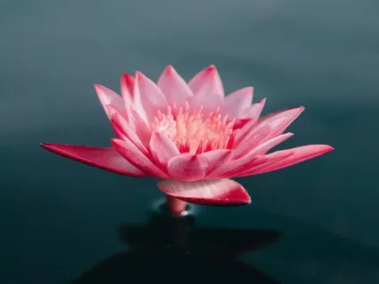 5 Min Deepen Your Breath: A Calming Breathwork Practice