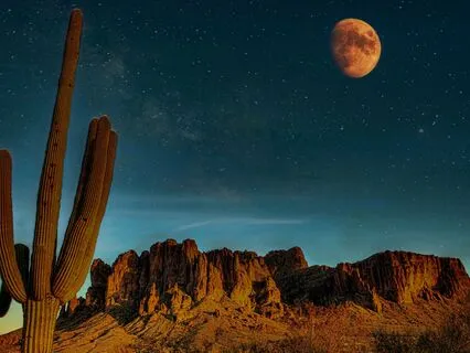 Deepen Your Cosmic Connection! 369 Hz + Crystal Tuning Forks