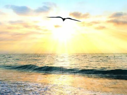 Deepen Your Gratitude - Morning Meditation