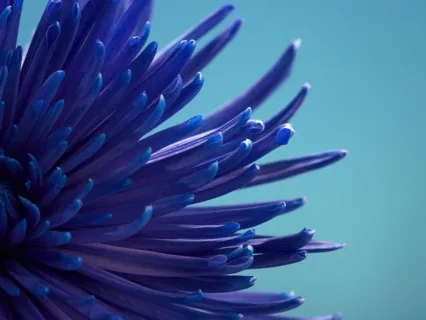 Deepen Your Intuition