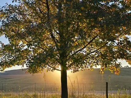 Deepening And Opening To God's Love