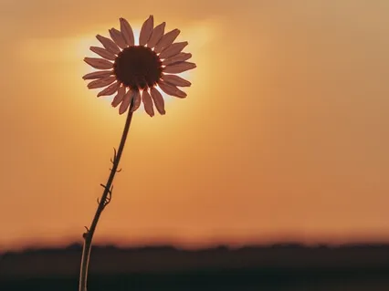 Deepening Body Awareness