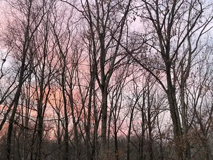 Deepening Into Ourselves: Celebrations And Intentions