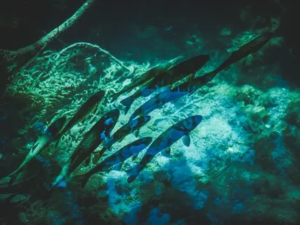 Deepening Trust Amidst COVID-19