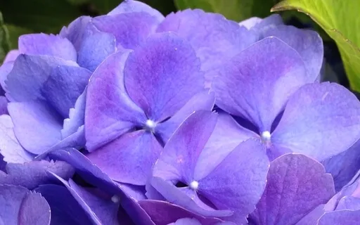 Deepening Your Acceptance Of Your Teenager/Young Adult Child