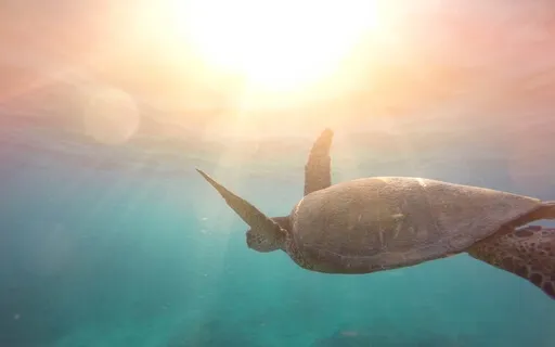 Deeper & Deeper - Hypnotic, Ancient, Resonant Cosmic Journey