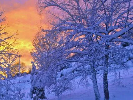 Deeper And Deeper We Reconnect On A Cellular Level