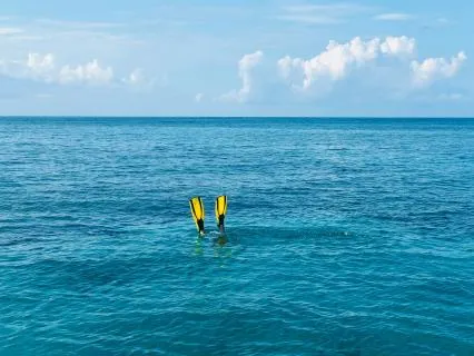 Deeper Dives By Default: Practice Morsels