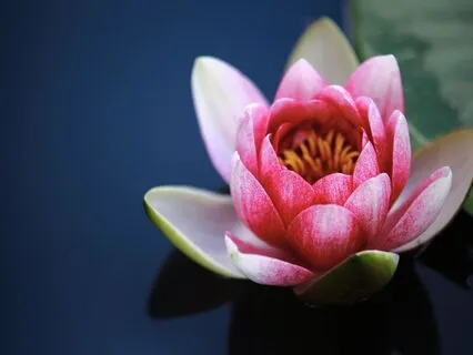 Deeper Healing (Short Version)