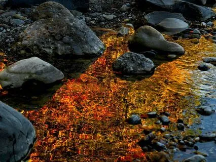 Deeper Inner Attunement - A 3-Sync Meditation