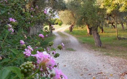 Deeper Stress Relief #3