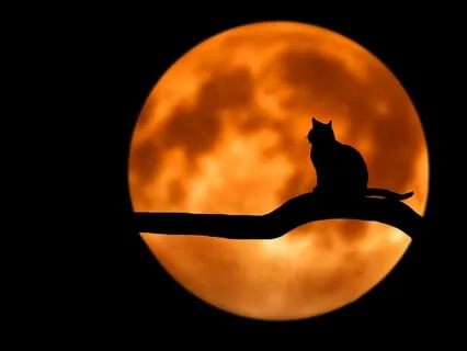 Deepest Dreams Sleep Music