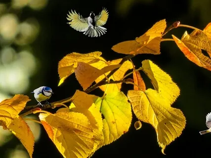 Deepest Healing: Experience Miracles And Transcend All Pain And Suffering Through Surrender