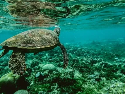 Deepest Healing Music