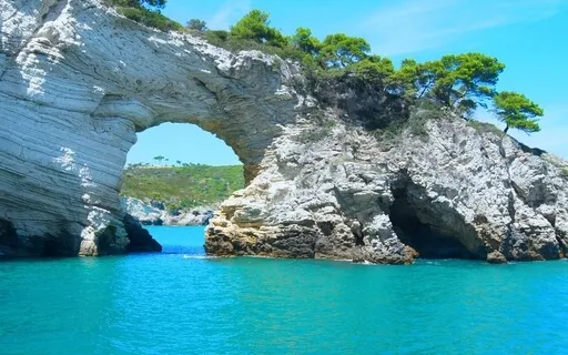 Deeply Calming, Pure Bliss