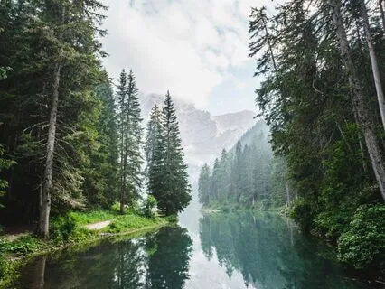 Deeply Feeling Body Sensations By Location 02