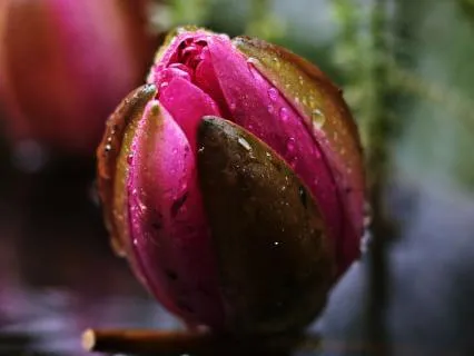 Deeply Relax | 1.5Hz Binaural Beats - 12 Hours