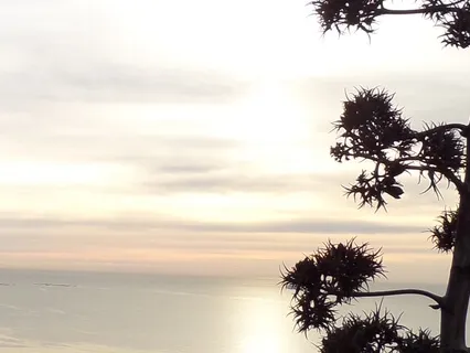 Deeply Relax & Energize 