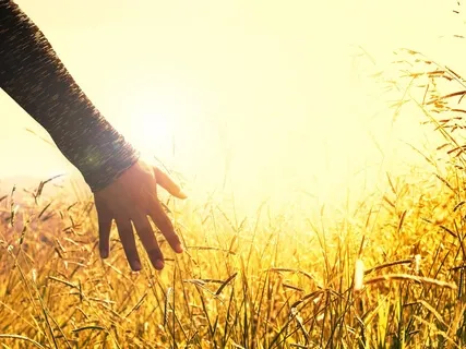 Deeply Relaxing Body Scan