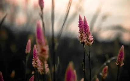 Deeply Relaxing Delta Binaural 1 Hz Meditation Sleep Music