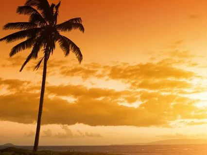 Deeply Relaxing Music | Rewind Instantly | Alpha Waves