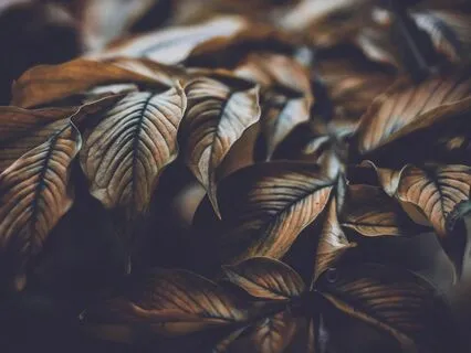 Deeply Relaxing Sounds Of Brown Noise