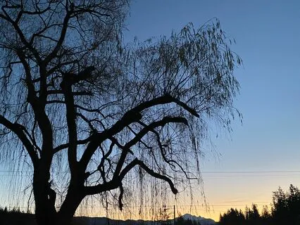 Deeply Relaxing Piano