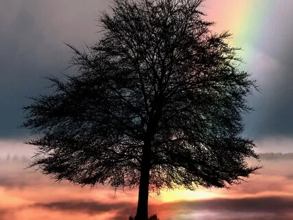 Deeply Rooted Visual Chakra Healing