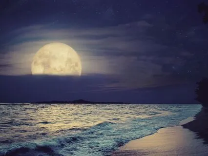 Deeply Soothing Sleep Meditation - Train Journey To Rest