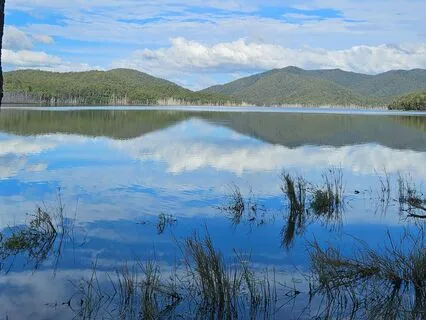 Deer Dreaming Journey — Sound Meditation In Nature