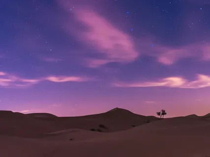 Definitive Sleep: Drifting Into Rest (Sound Bowls)