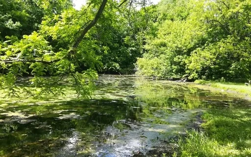 Delayed Gratification Meditation