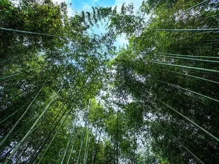 Delays Are Not Denials 