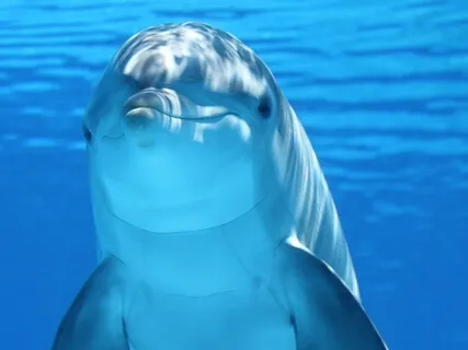 Delicate Notes For The Relaxed Soul