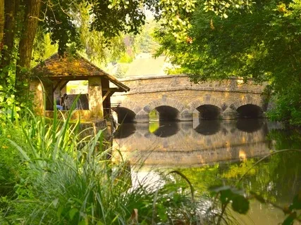 Delicate Stories No. 1