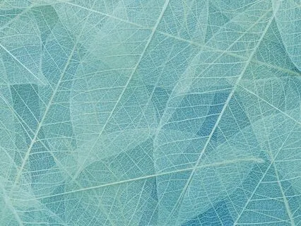 Delicately | Positive Vibrations  Nostalgia Cozy Lofi Beats