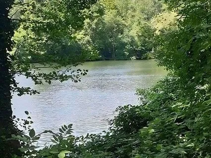 Delicia en Silencio- Geschenk in Stilte