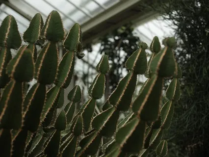 Delicious Whispers and ASMR Triggers: Soothing Sounds