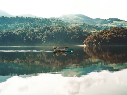 Delightful, Calming & Peaceful