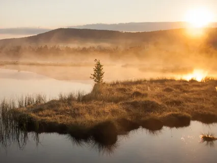 Delightful Tribal Inspirational Sounds For Elevating Your Mood