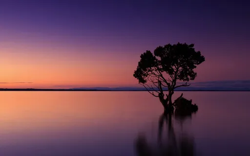 Delta 2Hz Deep Sleep Healing Binaural